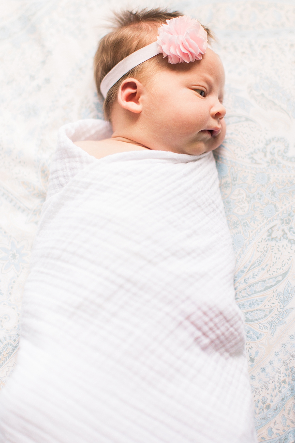 A beautiful newborn photography session in Washington, DC. 