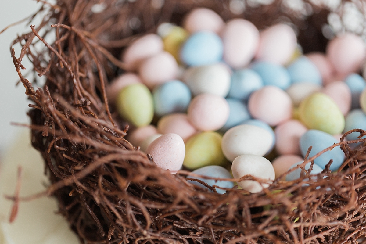 A beautiful spring Easter cake designed by Washington, DC wedding photographer, Alicia Lacey, features an edible bird's nest filled with colorful eggs.