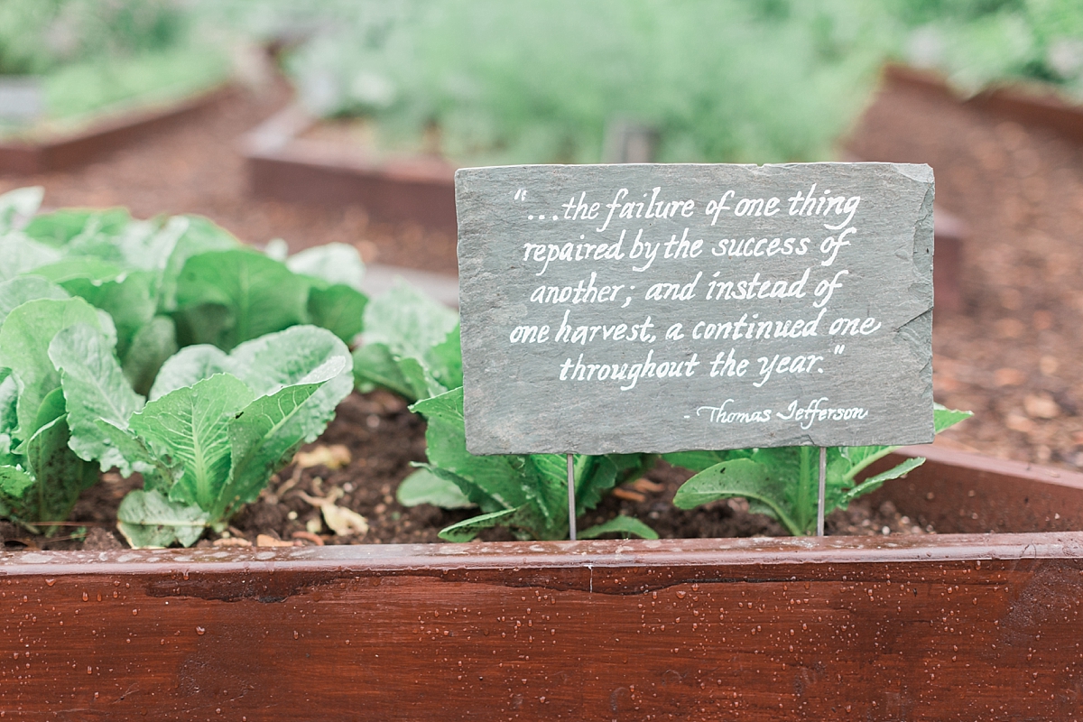 This Washington, DC wedding photographer volunteers in the White House Kitchen Garden for a morning, exploring the historic landmark. 