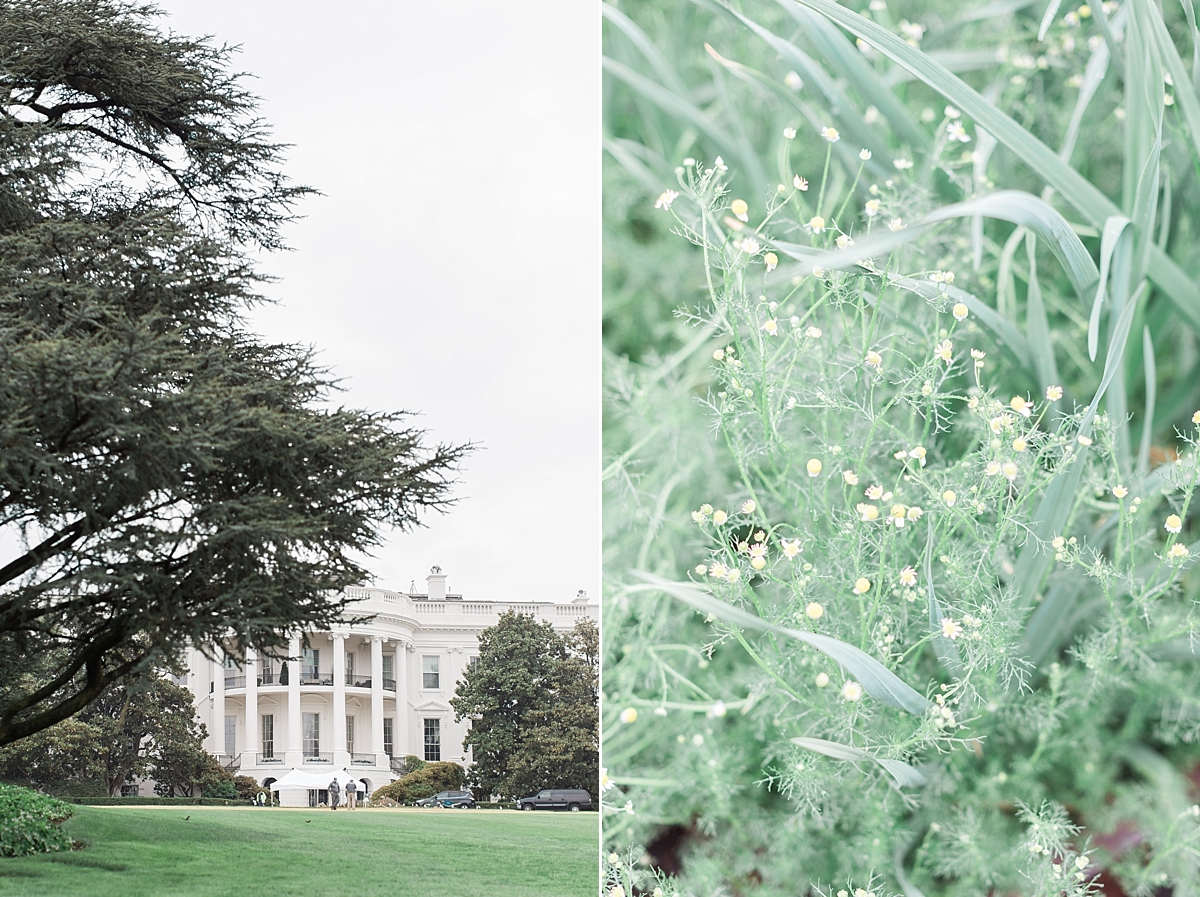 This Washington, DC wedding photographer volunteers in the White House Kitchen Garden for a morning, exploring the historic landmark. 