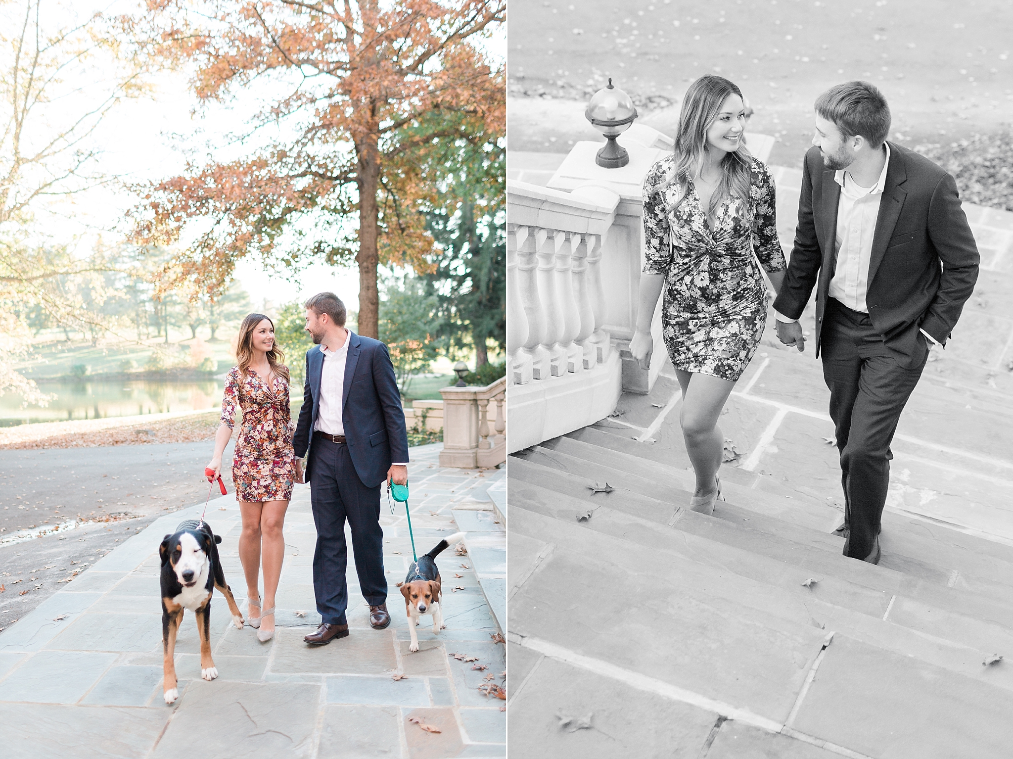 A stunning fall engagement session at Airlie Center in Warrenton, VA as photographed by Washington, DC wedding photographer, Alicia Lacey.