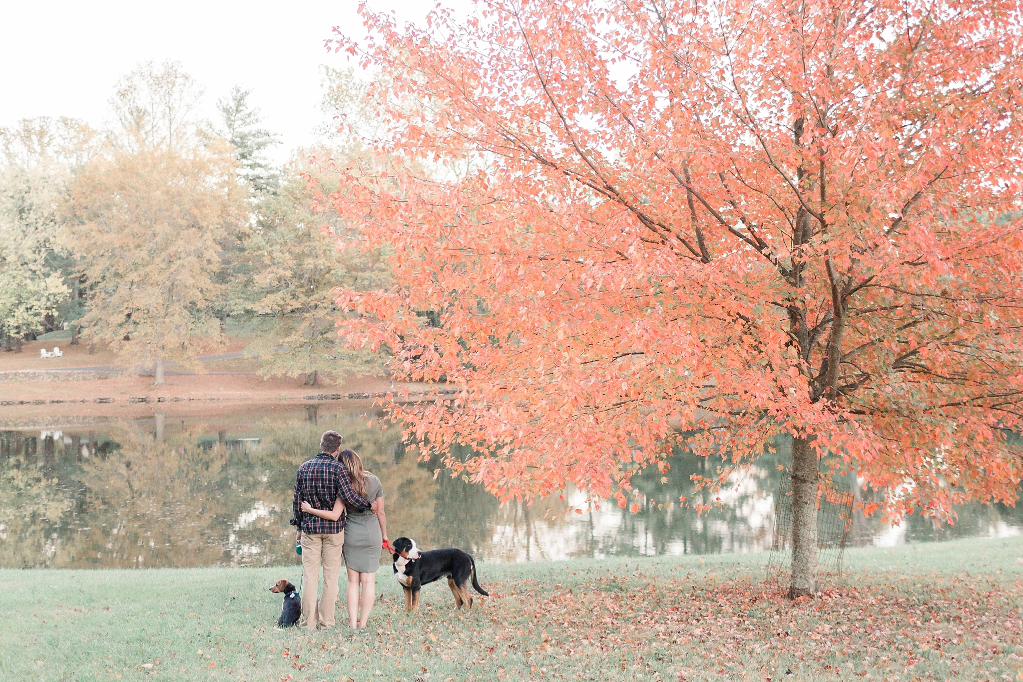 A stunning fall engagement session at Airlie Center in Warrenton, VA as photographed by Washington, DC wedding photographer, Alicia Lacey.