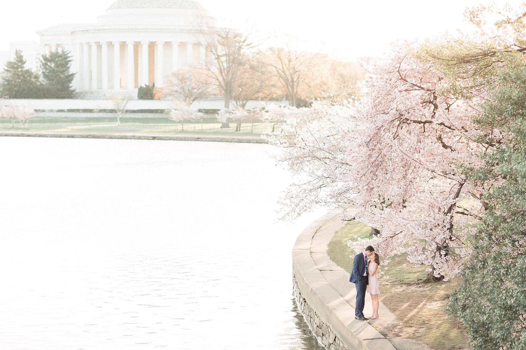 A romantic DC cherry blossom engagement session during peak bloom at the Tidal Basin & Jefferson Memorial. 
