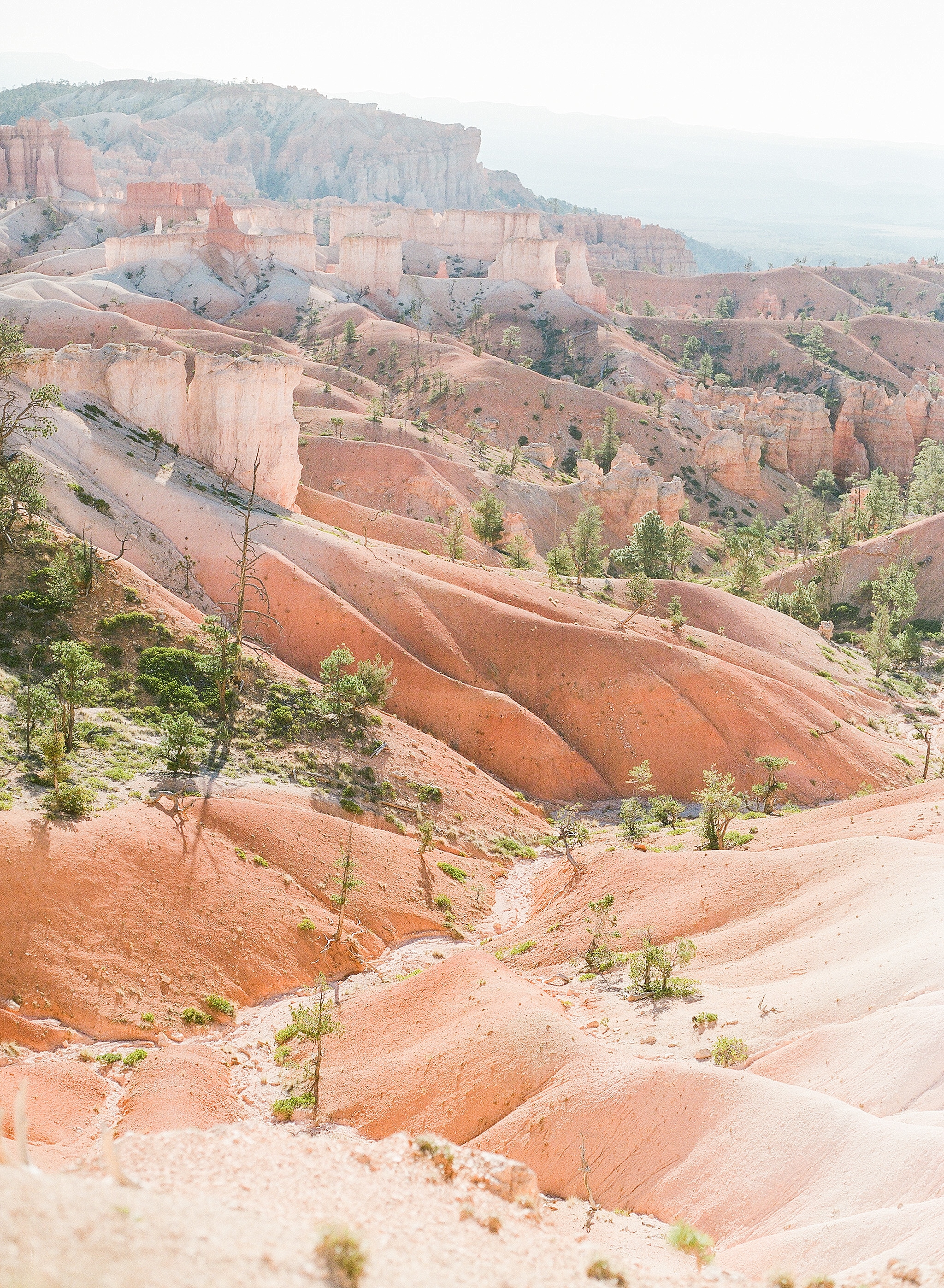 The National Park of Utah and Arizona, including Zion, Bryce, Grand Canyon, and Antelope Canyon, are captured on film by fine art photographer, Alicia Lacey.