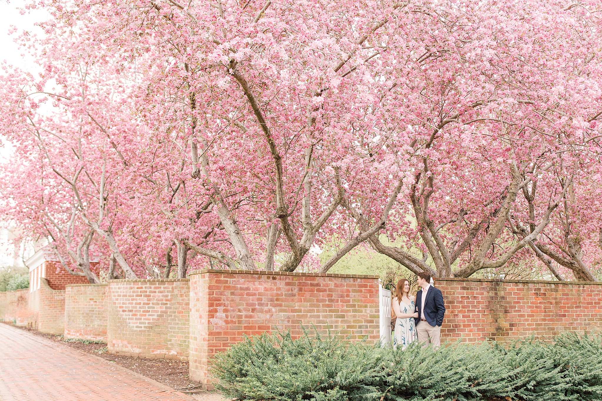 This fine art engagement session on the beautiful campus at the University of Virginia (UVA) includes the Rotunda, gardens, and other historic sites.