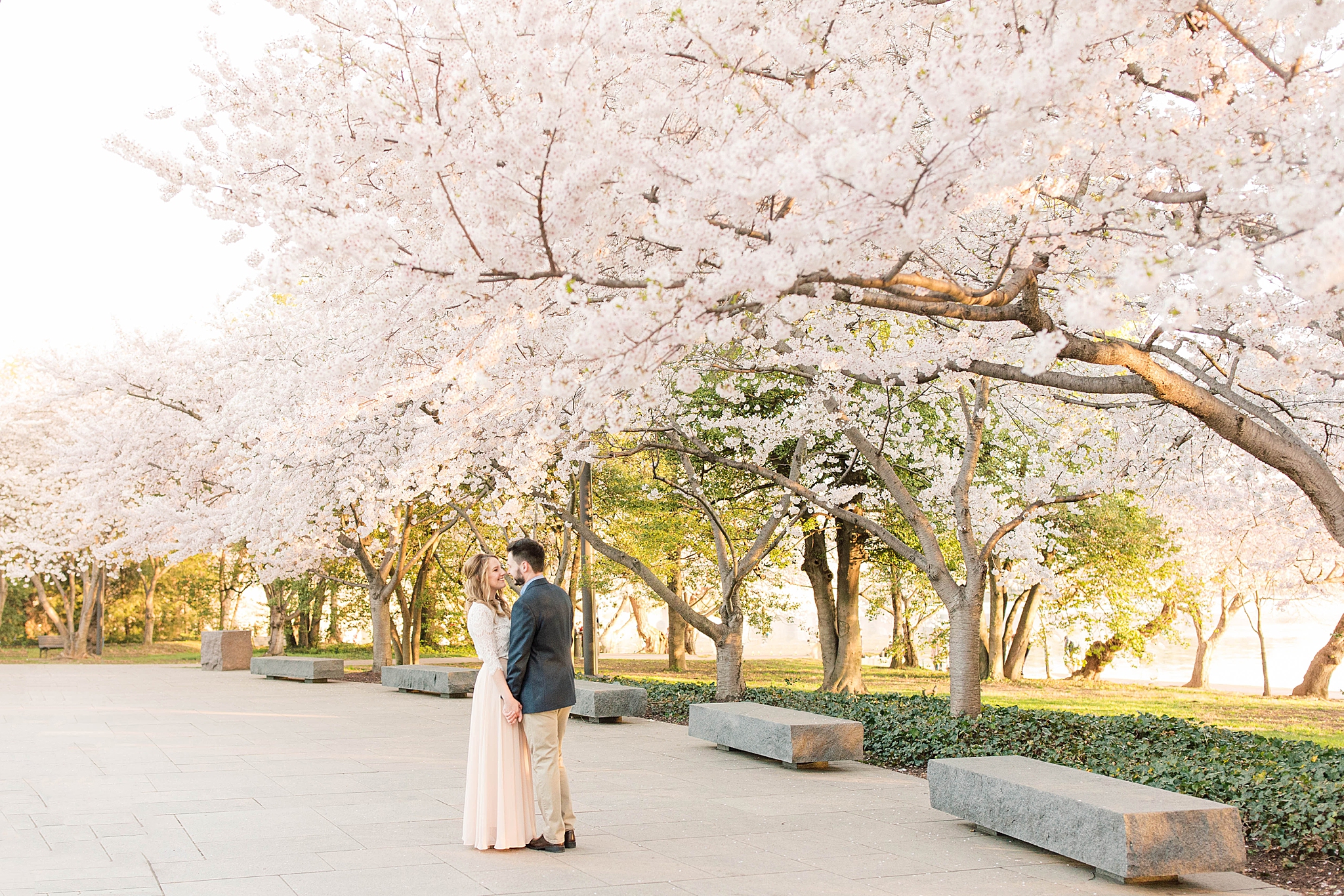 A romantic sunrise on the Tidal Basin in Washington, DC amongst the iconic cherry blossoms.