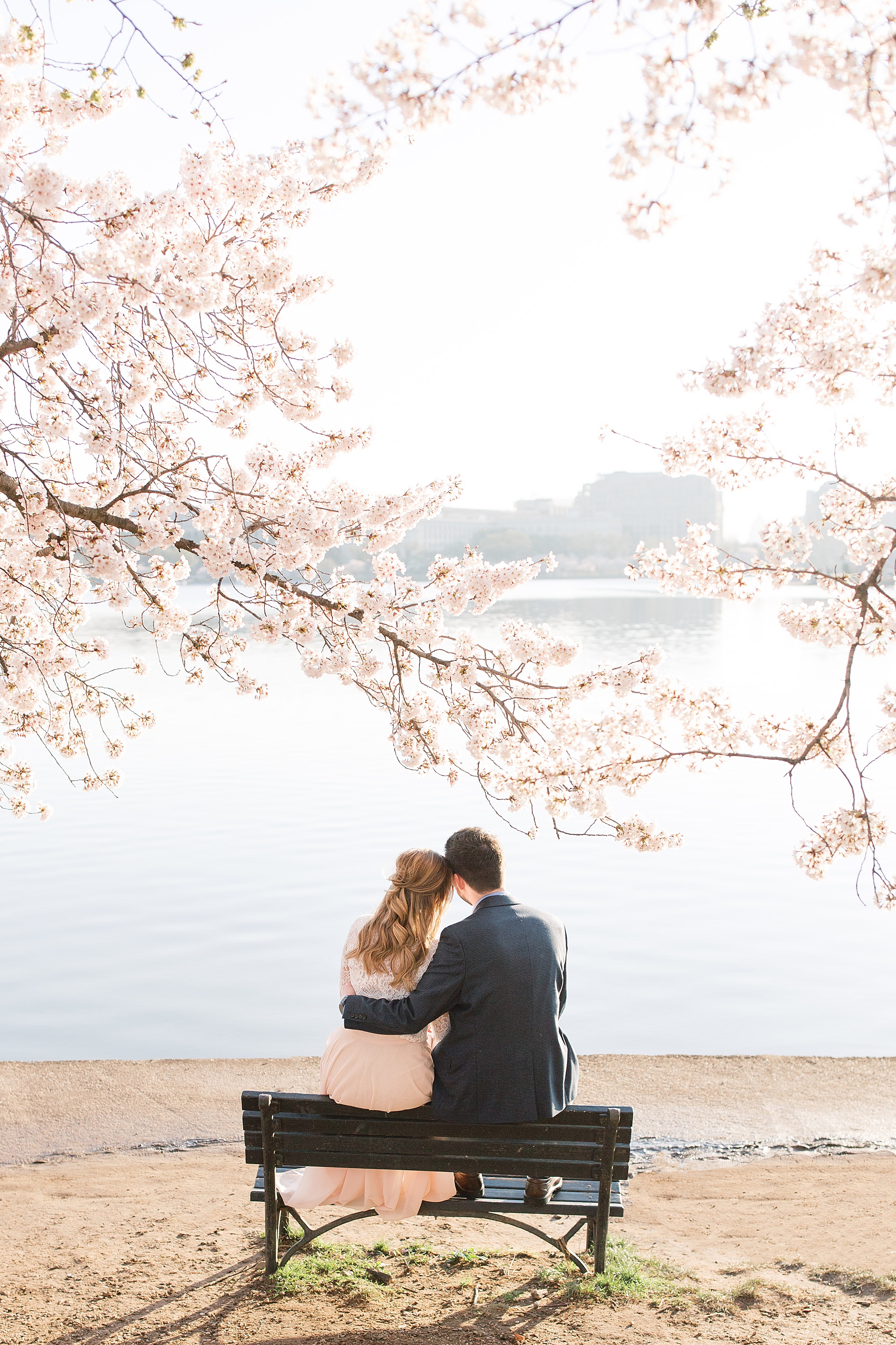 A romantic sunrise on the Tidal Basin in Washington, DC amongst the iconic cherry blossoms.  