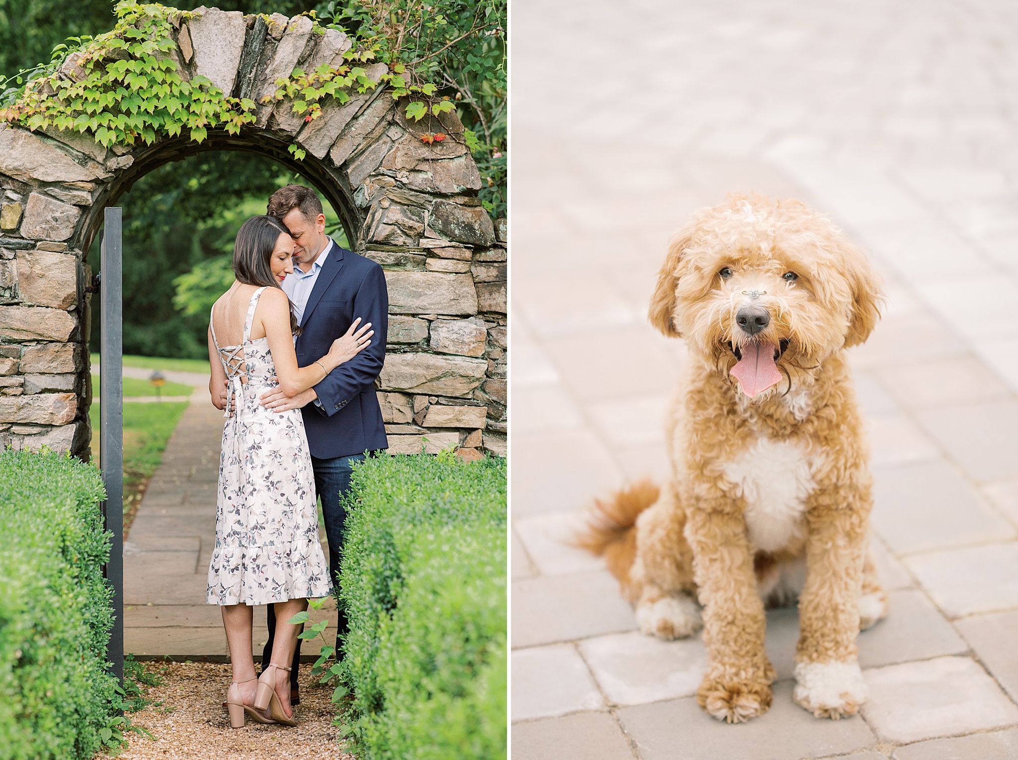 An elegant garden engagement session at Airlie Center in Warrenton, VA featuring a goldendoodle puppy.