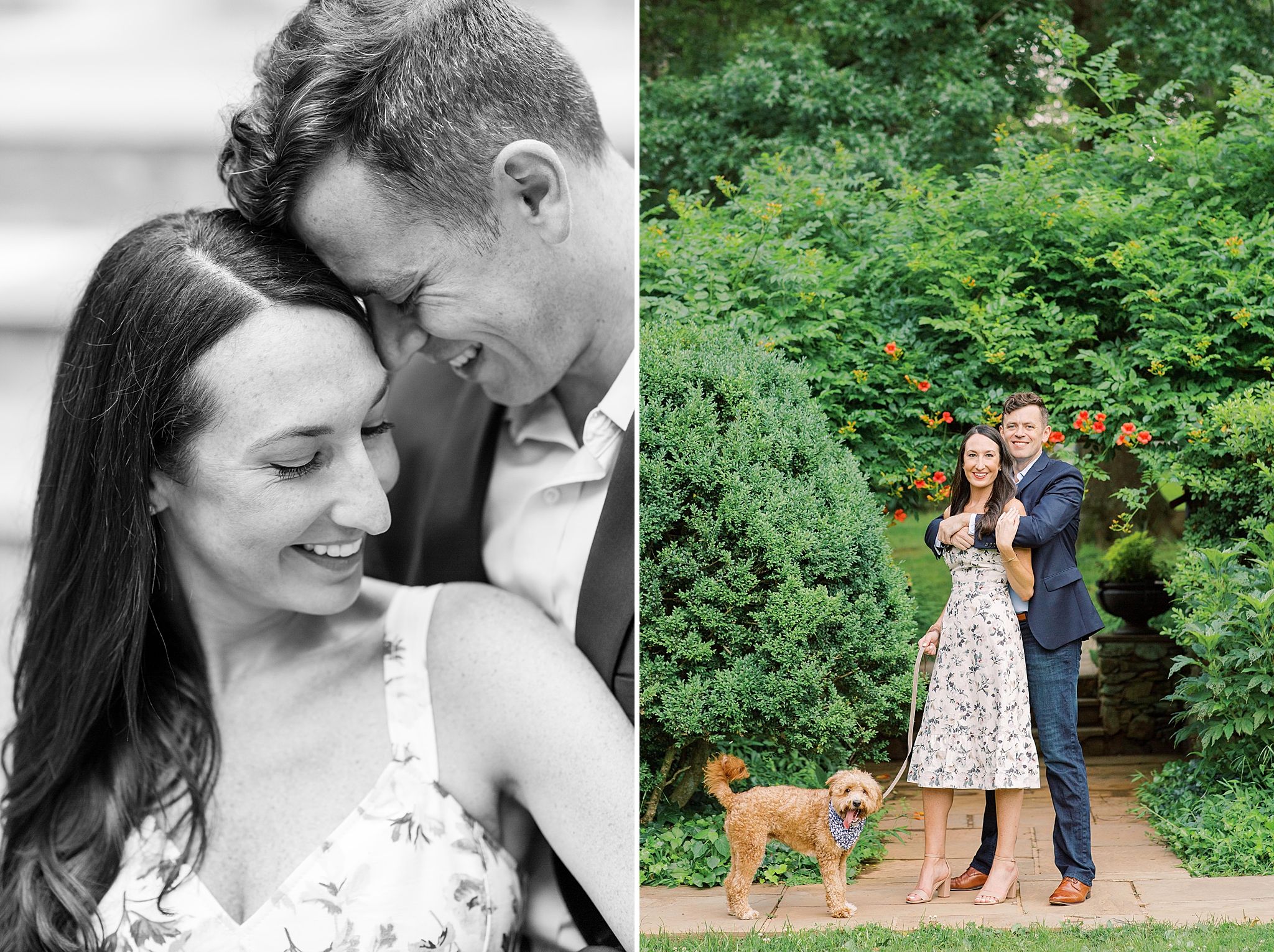 An elegant garden engagement session at Airlie Center in Warrenton, VA featuring a goldendoodle puppy. 