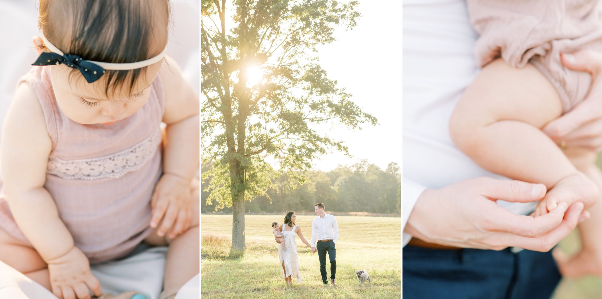 This Washington, DC wedding photographer reviews the highlights of her family & anniversary portrait sessions from the 2020 season.