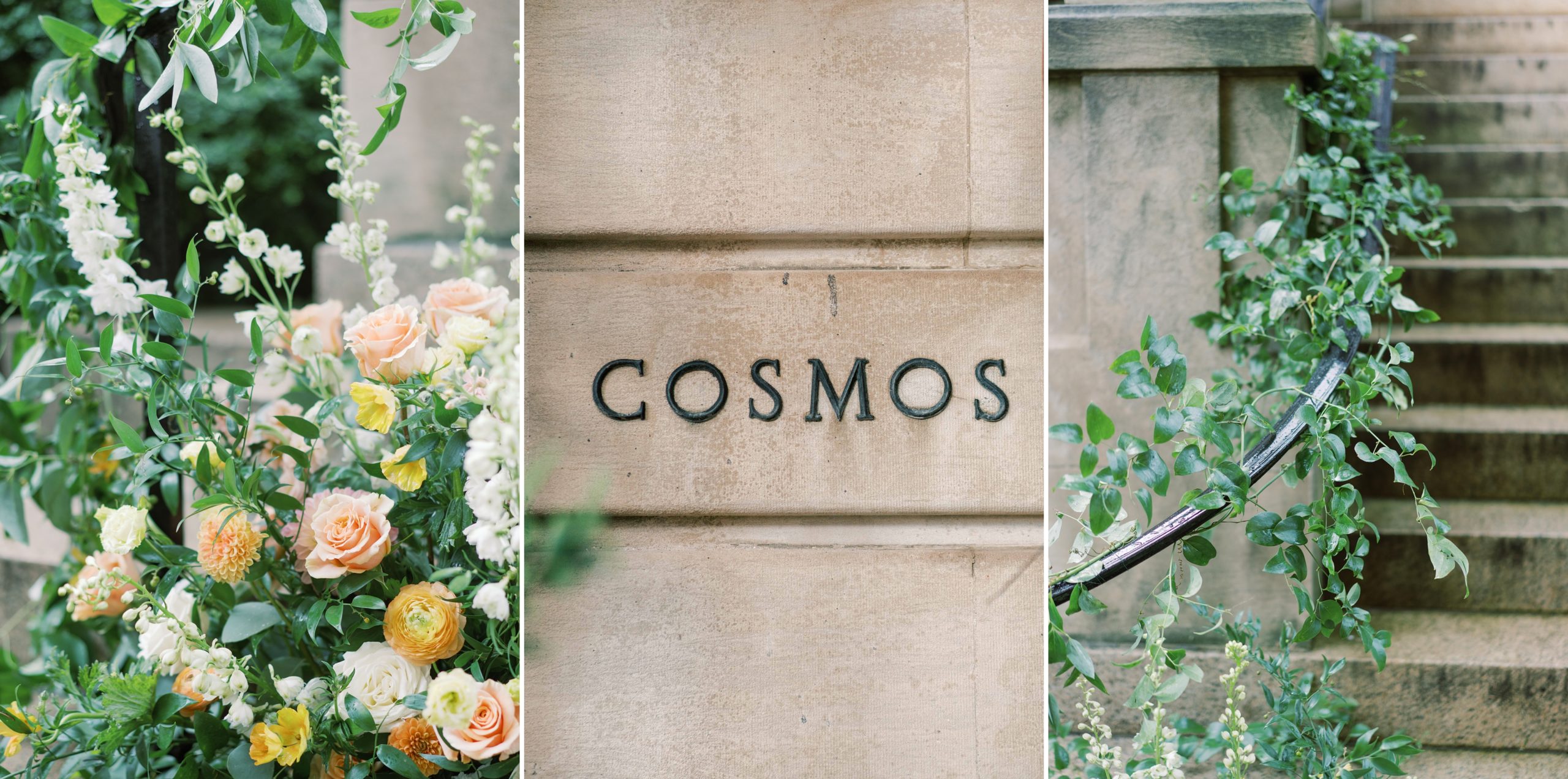 A stunning summer Cosmos Club wedding at the historic venue in Washington, DC.
