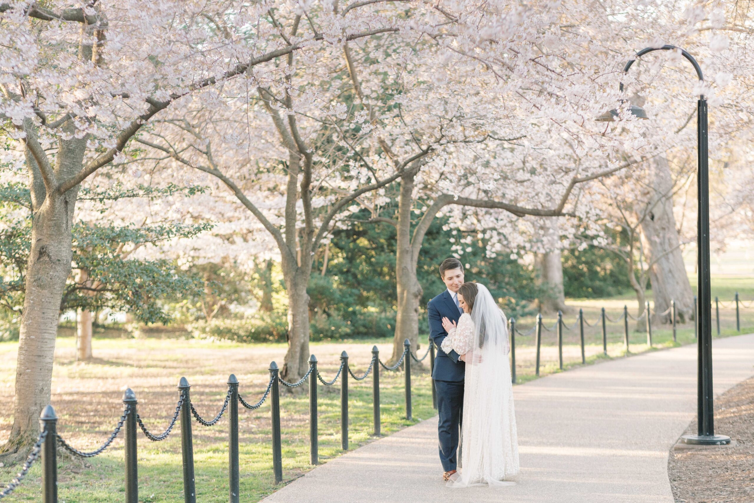 A stunning cherry blossom elopement with portraits at the Tidal Basin in Washington, DC during peak bloom. Ceremony at the DC War Memorial.