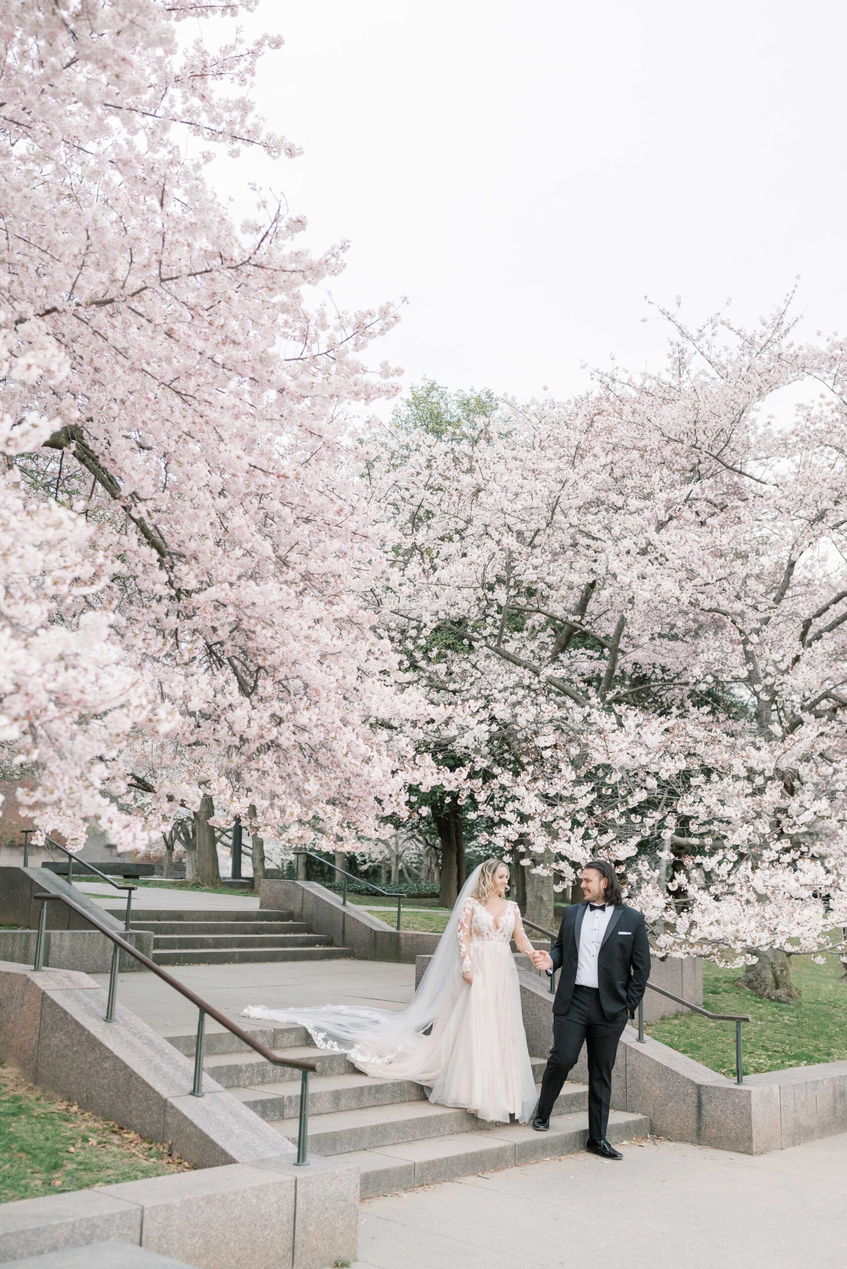 A romantic sunrise portrait session during the peak Cherry Blossom bloom at the Tidal Basin in Washington, DC.