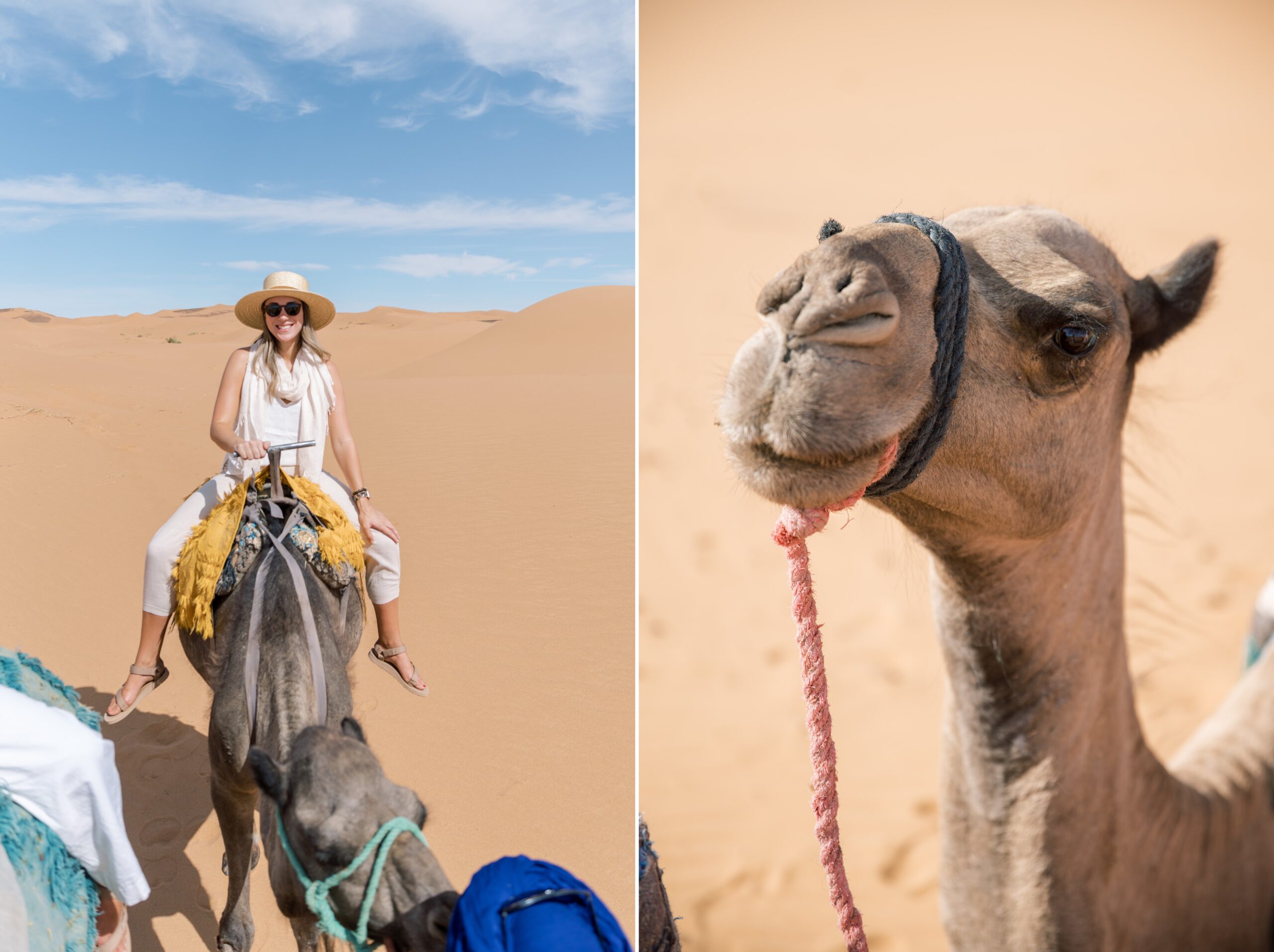 How to spend 10 days in Morocco between Chefchaouen, Fes, the Sahara Desert, and Marrakech! 