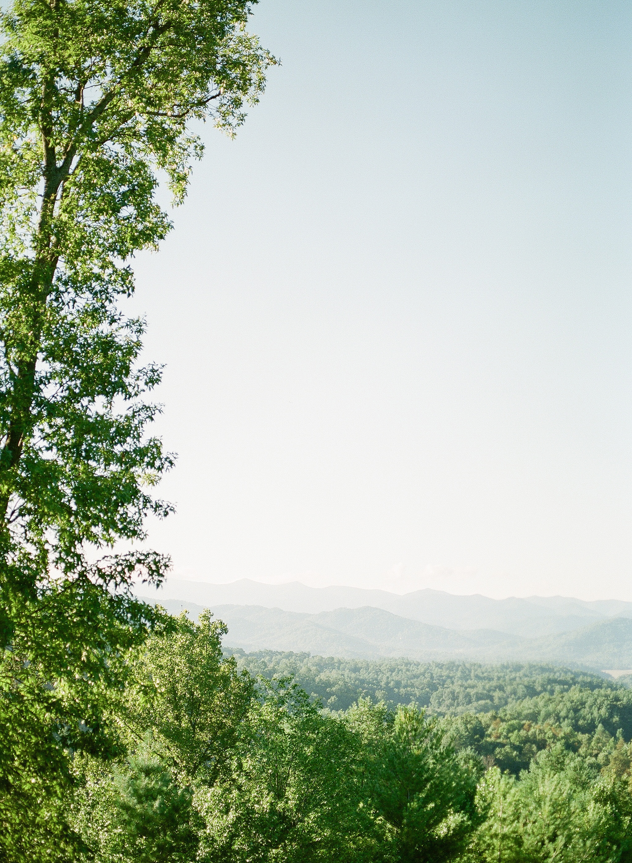 Fine art travel photography from a Washington, DC wedding photographer's vacation to Asheville, NC. Includes stops at Biltmore Estate and the Blue Ridge Parkway.