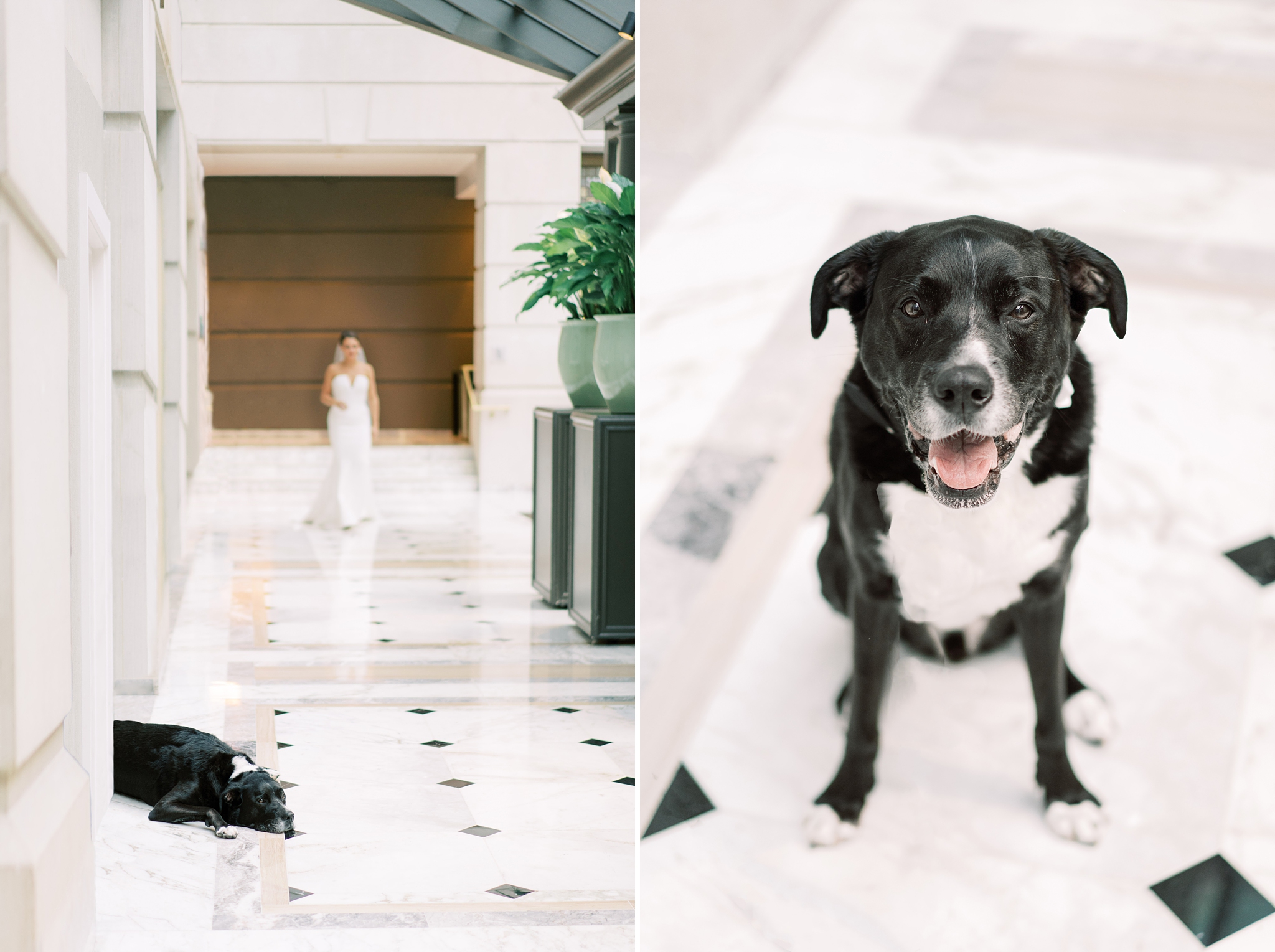 To wrap up the 2019 season, this Washington, DC wedding photographer is sharing superlatives from the most stunning affairs of the year! 