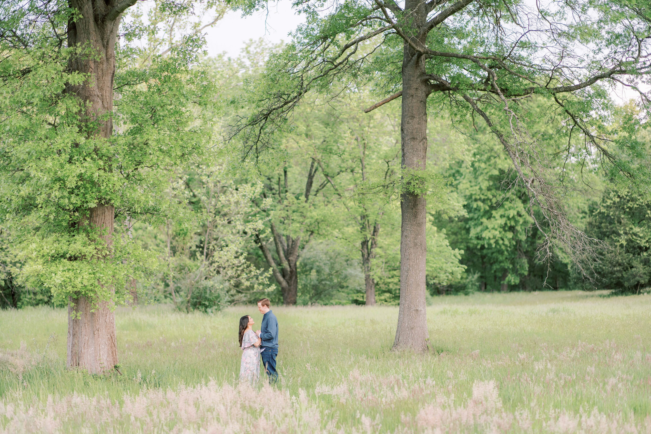 A romantic summer engagement session photographed at sunrise in Manassas Battlefield Park outside of Washington, DC.